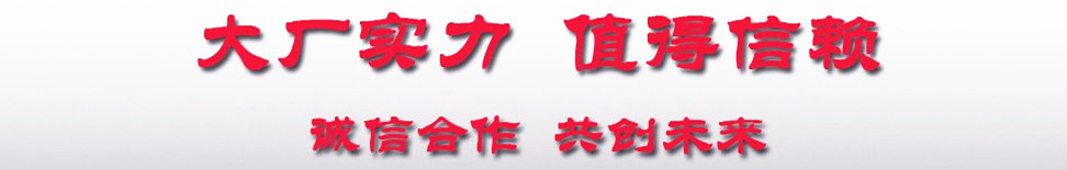 大廠實力共創未來